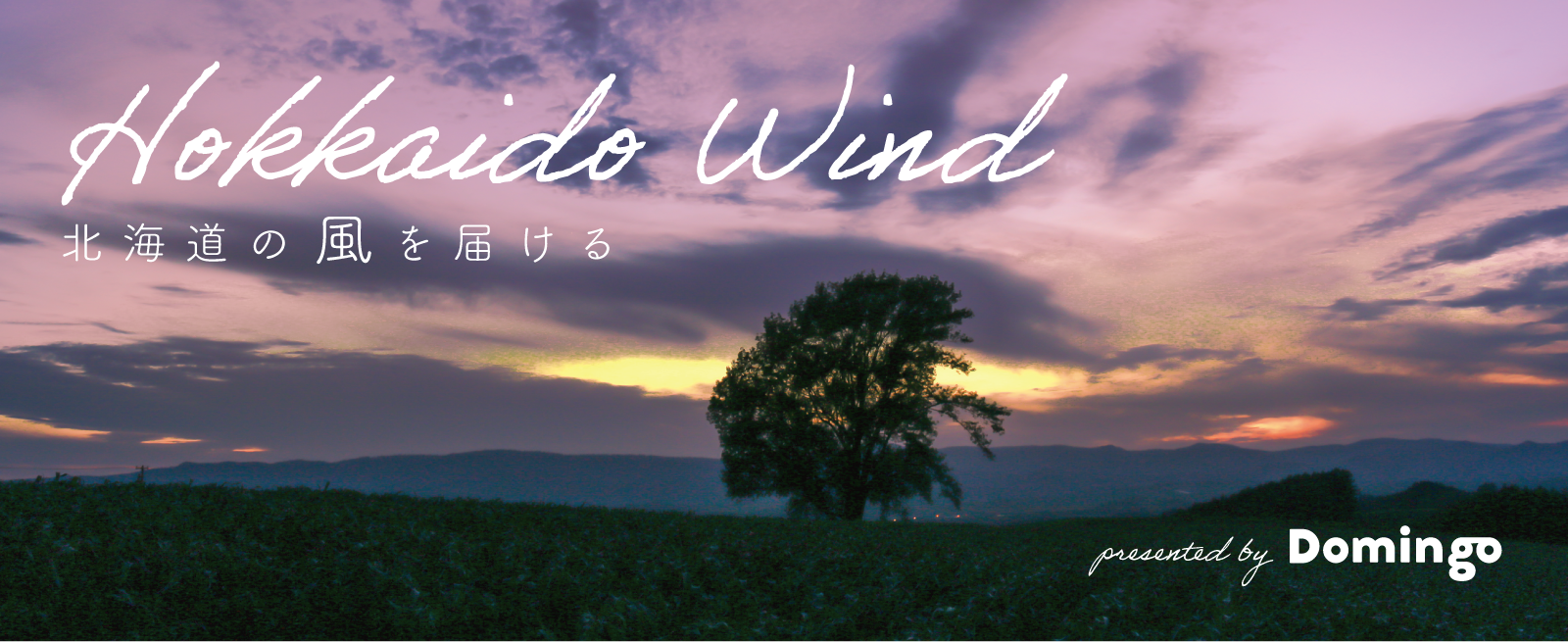 道内各地での暮らしの魅力を届ける連載「Hokkaido Wind presented by Domingo」がスタートします!