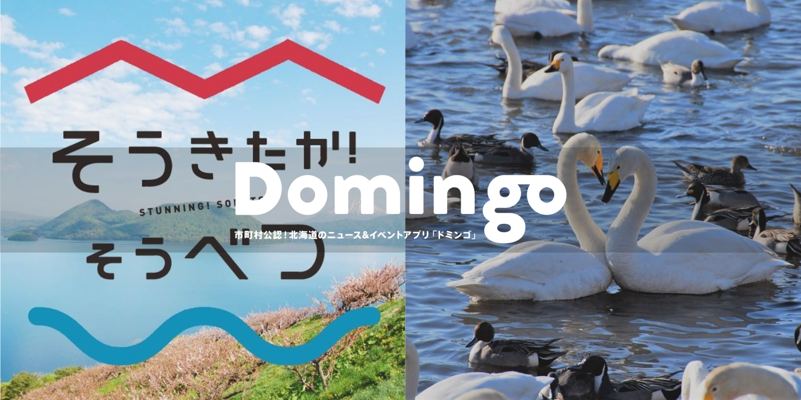 【お知らせ】Domingo公認市町村に「壮瞥町」と「浜頓別町」が追加!