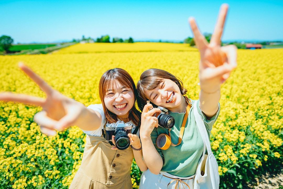 【北海道ミライノート×Domingo】滝川市の菜の花畑 など