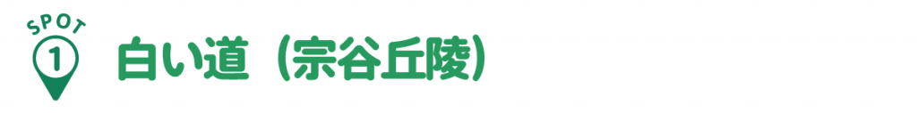 spot1:白い道(宗谷丘陵)