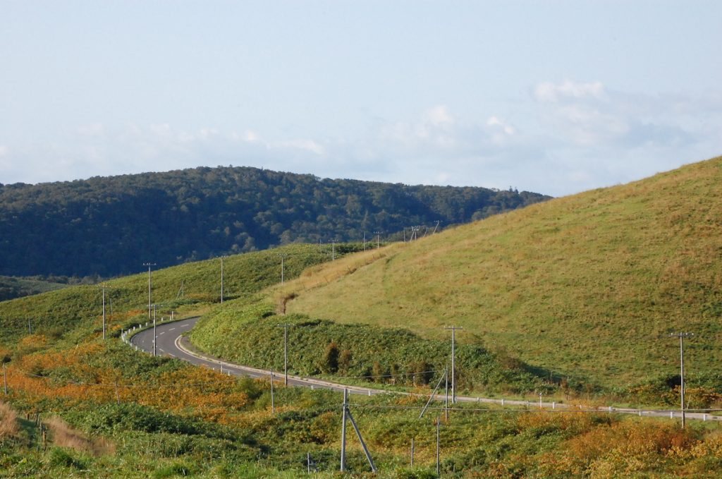大規模草地牧場