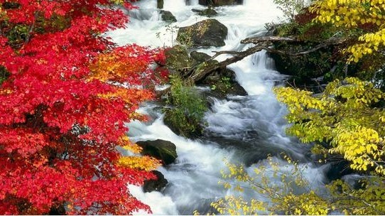 北海道の秋を満喫するならここ 紅葉おすすめスポット道東エリア5選 1 Domingo