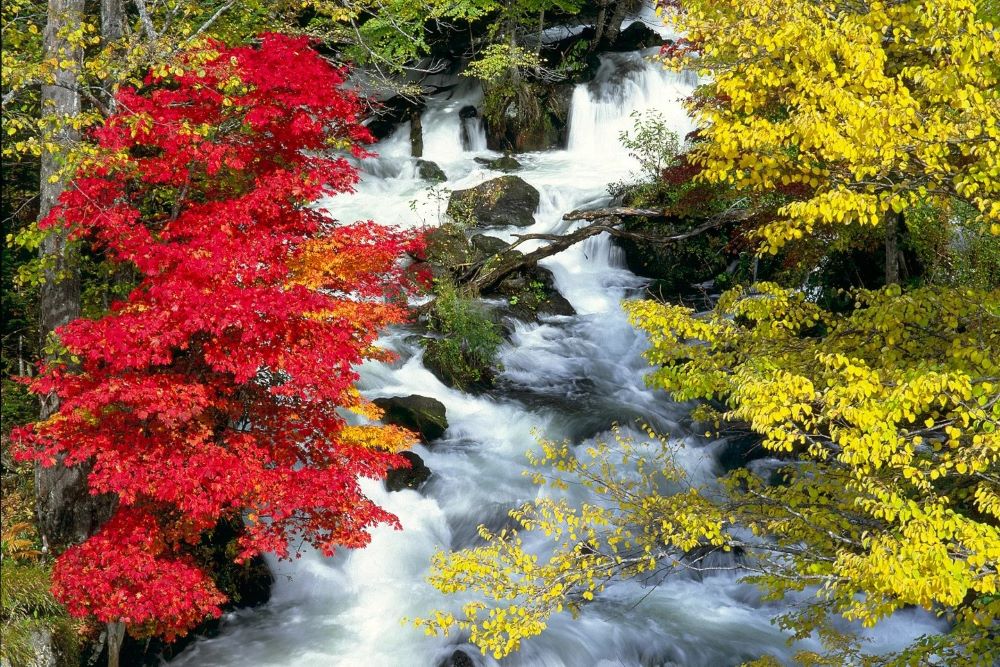 北海道の秋を満喫するならここ 紅葉おすすめスポット道東エリア5選 1 Domingo