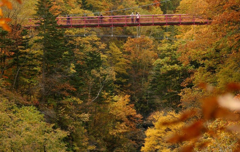 北海道の秋を満喫するならここ 紅葉おすすめスポット道東エリア5選 1 Domingo