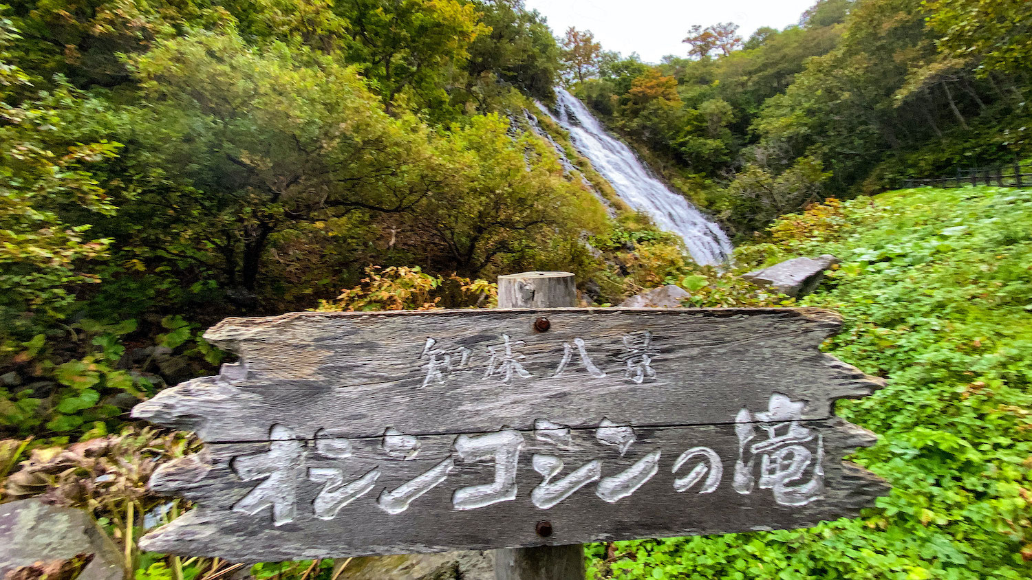 降りかかる水しぶき 近距離でみる オシンコシンの滝 は大迫力 Domingo