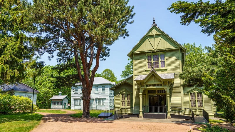 駅から徒歩10分のオアシス「北海道大学植物園」の歴史ある自然に癒される｜Domingo