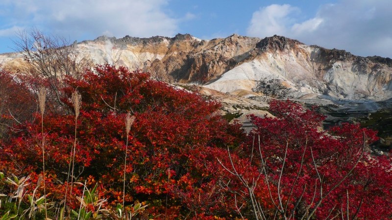 恵山紅葉登山会