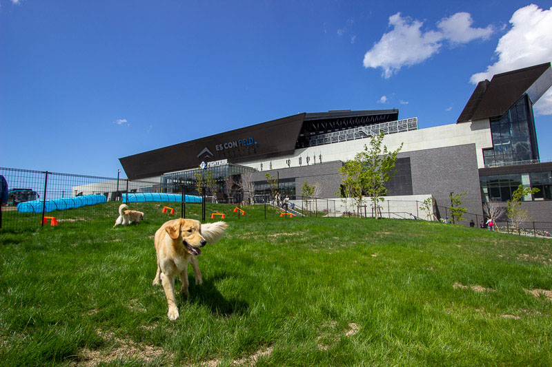 ドッグランも試合観戦も！ペットと一緒にエスコンフィールド＆Fビレッジを満喫する方法｜Domingo