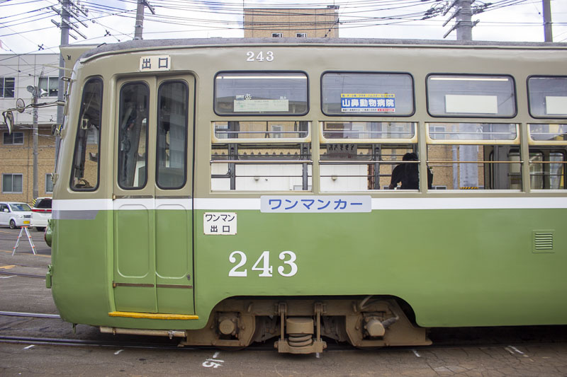 札幌市電