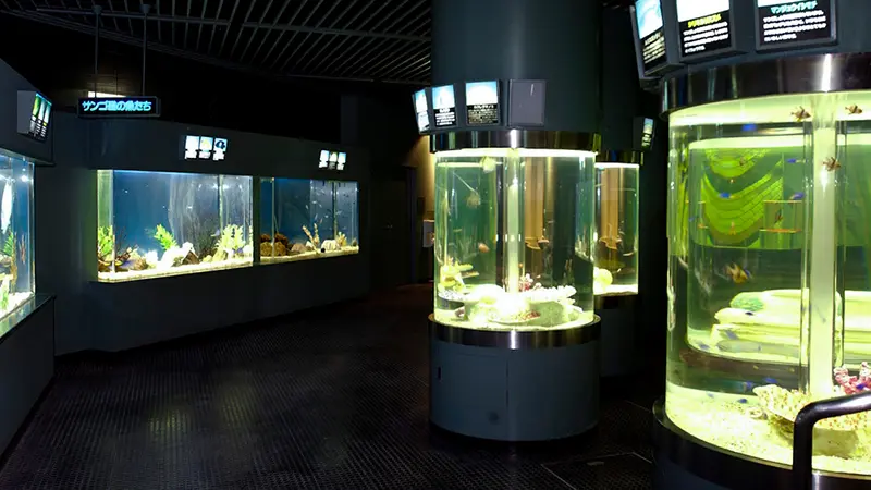 サンピアザ水族館